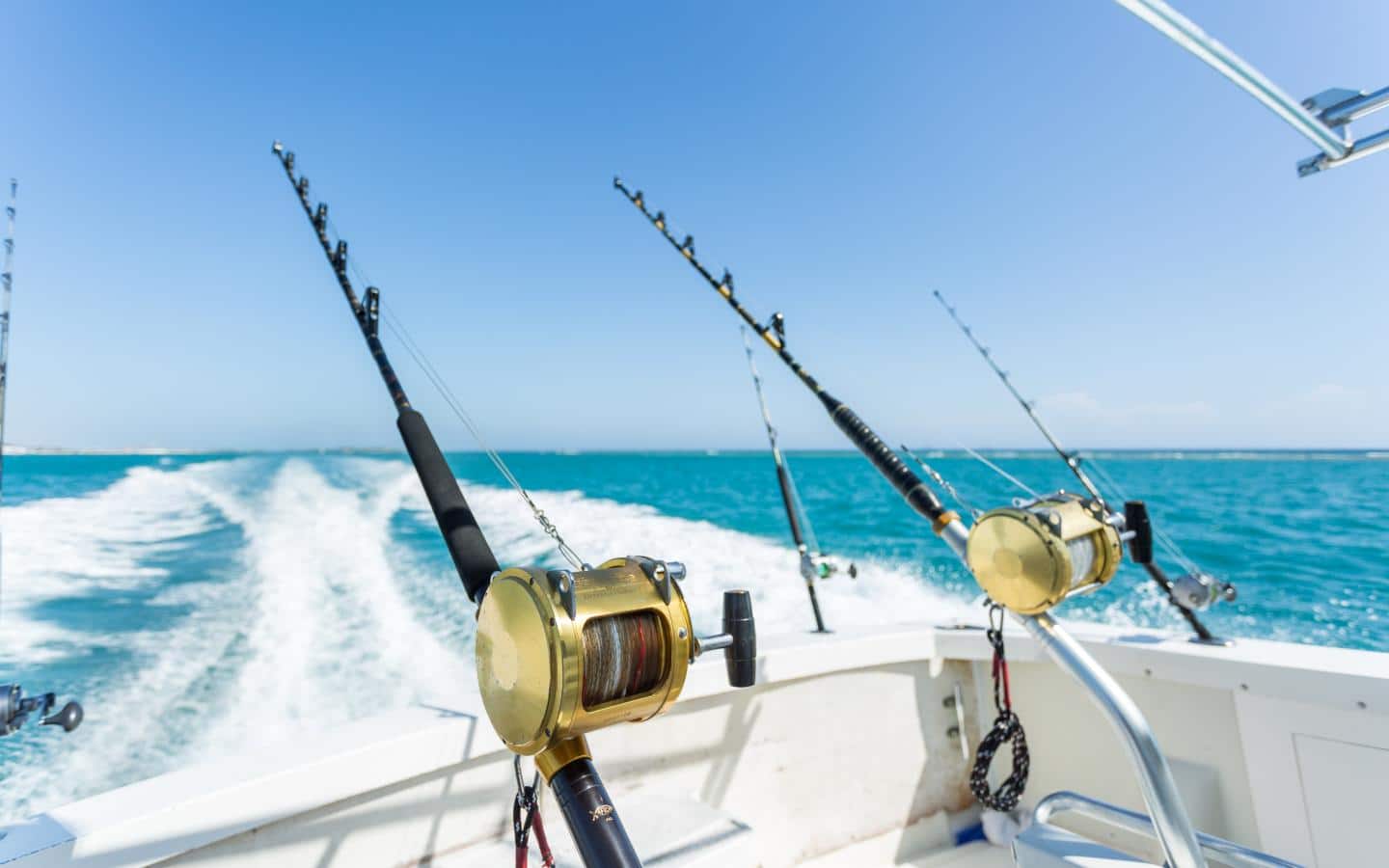 Cómo elegir la mejor caña de pescar: los factores que hacen la diferencia