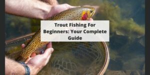 Pesca con Trucha Spinning: Una guía para principiantes