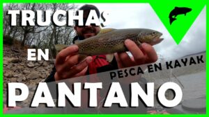 Pesca de Truchas en Pantano: Trucos, Equipo y Consejos