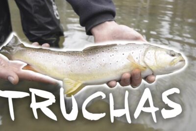 Pescar truchas en invierno